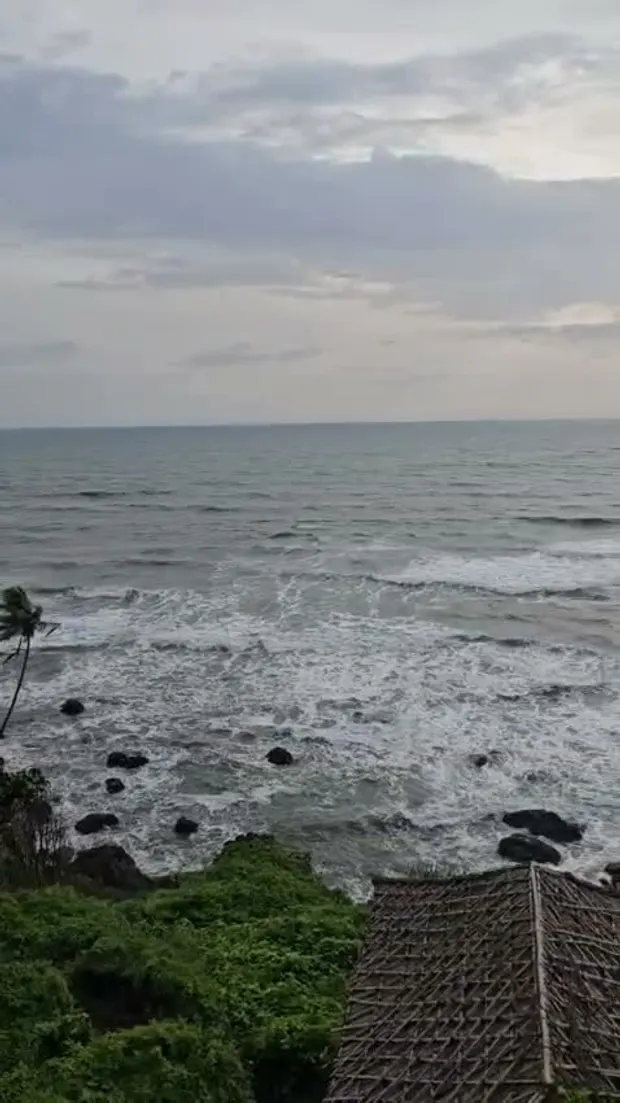 Waves on a rocky coast (video)